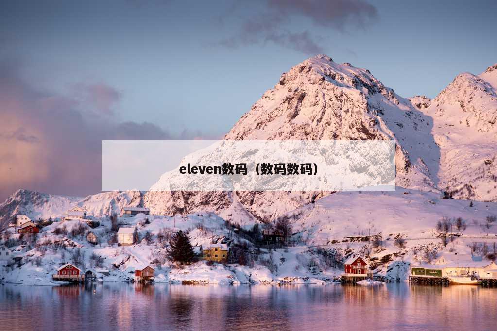 eleven数码（数码数码）