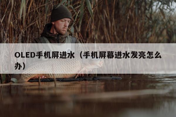 OLED手机屏进水（手机屏幕进水发亮怎么办）