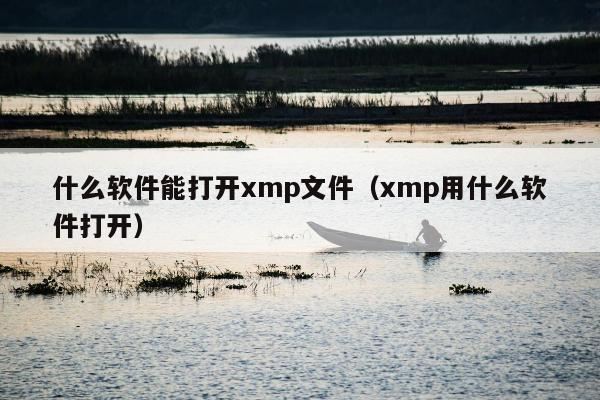 什么软件能打开xmp文件（xmp用什么软件打开）