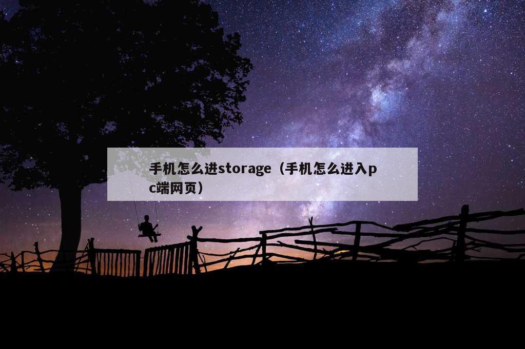 手机怎么进storage（手机怎么进入pc端网页）