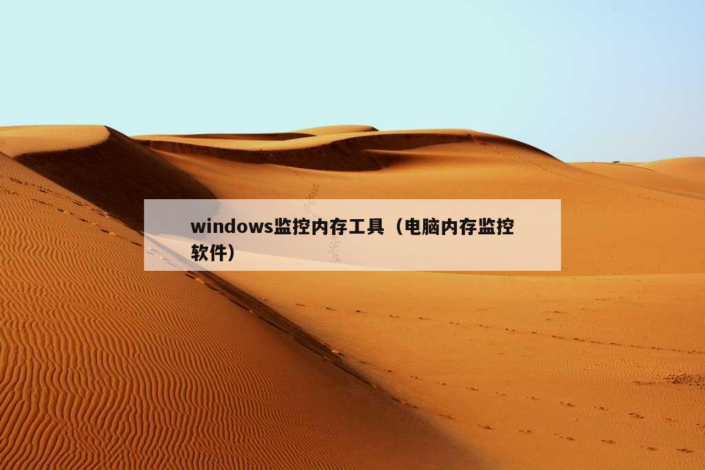 windows监控内存工具（电脑内存监控软件）