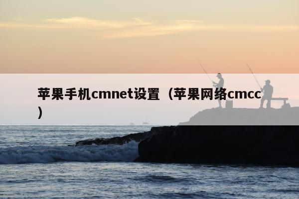 苹果手机cmnet设置（苹果网络cmcc）