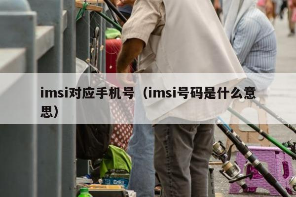 imsi对应手机号（imsi号码是什么意思）