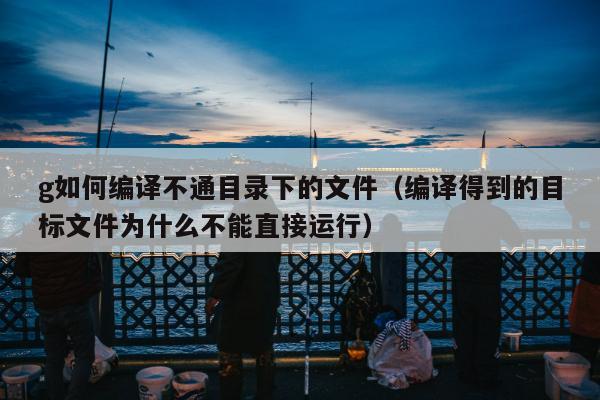 g如何编译不通目录下的文件（编译得到的目标文件为什么不能直接运行）