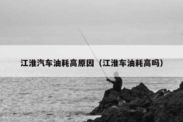 江淮汽车油耗高原因（江淮车油耗高吗）