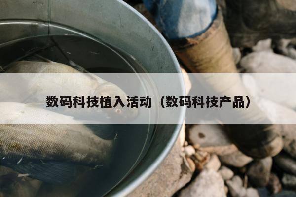 数码科技植入活动（数码科技产品）