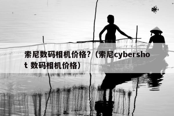 索尼数码相机价格?（索尼cybershot 数码相机价格）