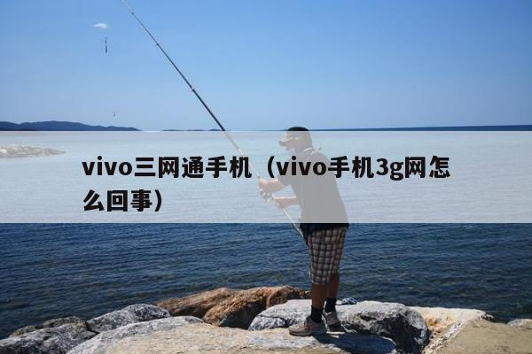 vivo三网通手机（vivo手机3g网怎么回事）