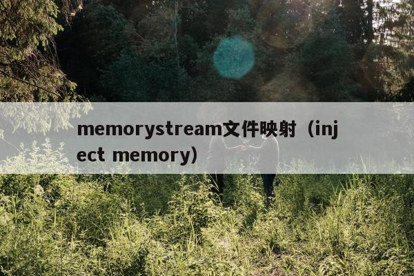 memorystream文件映射（inject memory）