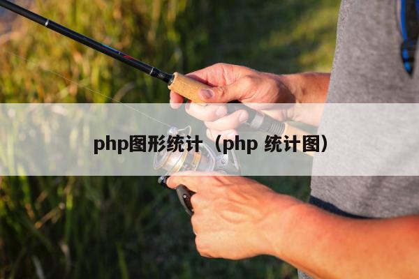 php图形统计（php 统计图）