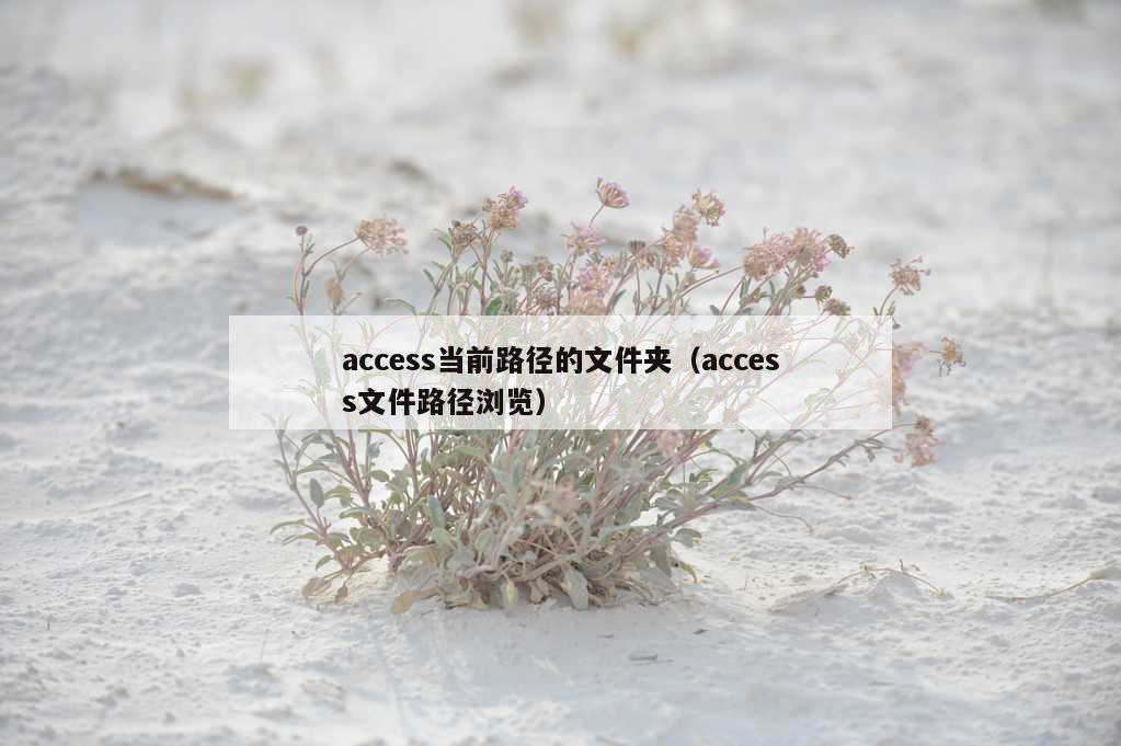 access当前路径的文件夹（access文件路径浏览）