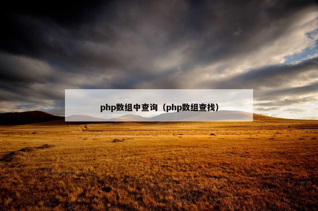 php数组中查询（php数组查找）