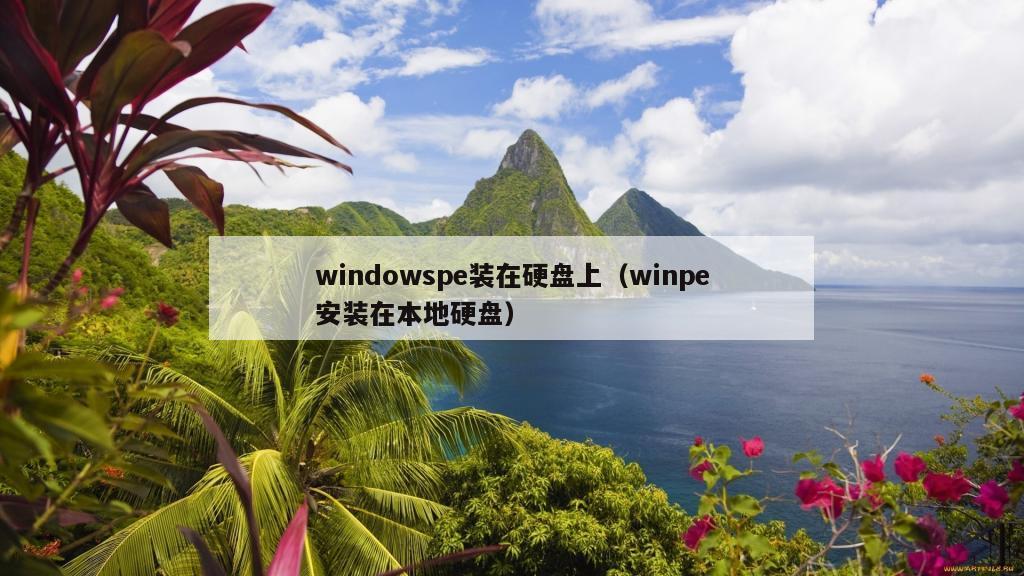 windowspe装在硬盘上（winpe安装在本地硬盘）