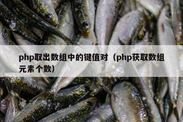 php取出数组中的键值对（php获取数组元素个数）