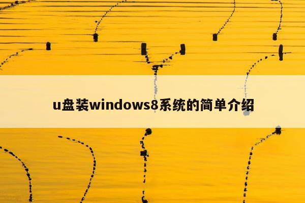 u盘装windows8系统的简单介绍