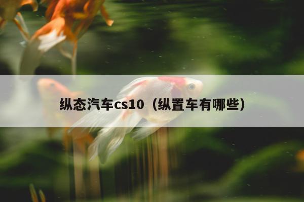 纵态汽车cs10（纵置车有哪些）