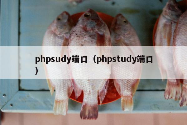 phpsudy端口（phpstudy端口）