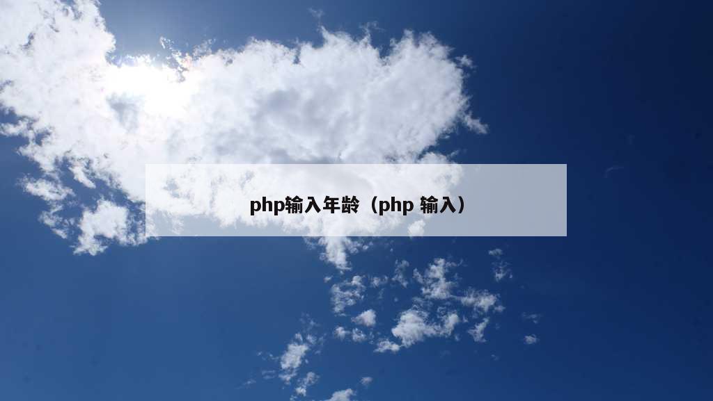 php输入年龄（php 输入）