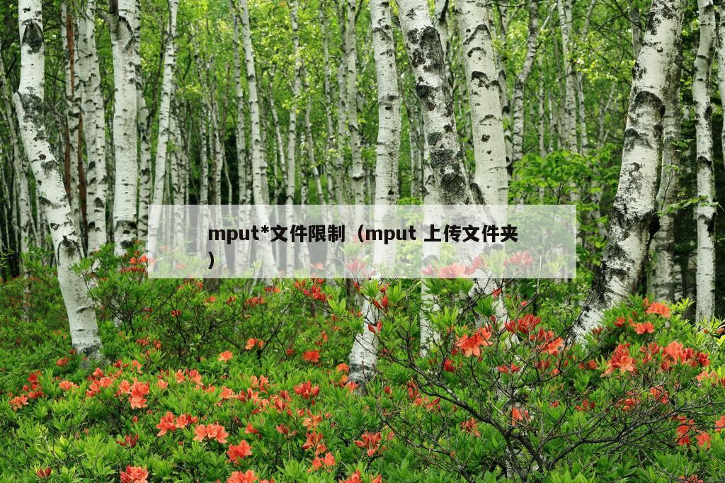 mput*文件限制（mput 上传文件夹）