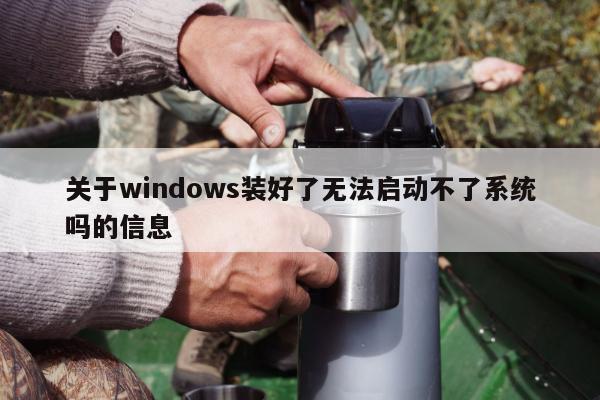 关于windows装好了无法启动不了系统吗的信息