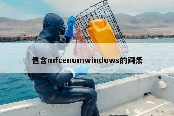 包含mfcenumwindows的词条