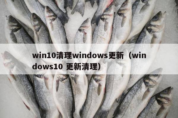 win10清理windows更新（windows10 更新清理）