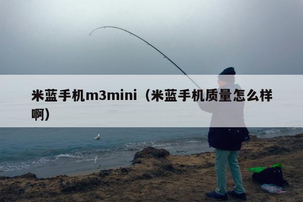 米蓝手机m3mini（米蓝手机质量怎么样啊）