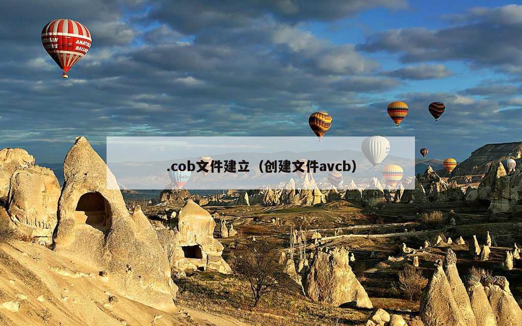 .cob文件建立（创建文件avcb）