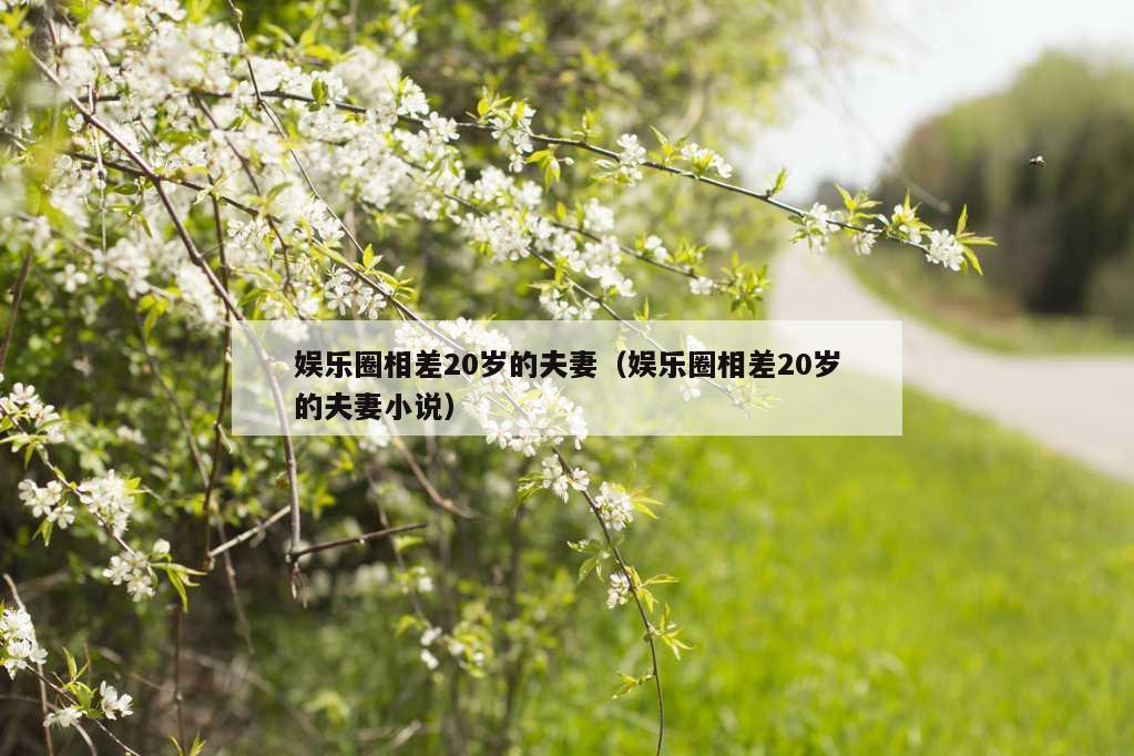 娱乐圈相差20岁的夫妻（娱乐圈相差20岁的夫妻小说）