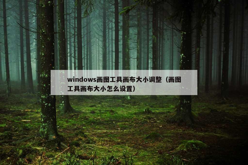 windows画图工具画布大小调整（画图工具画布大小怎么设置）