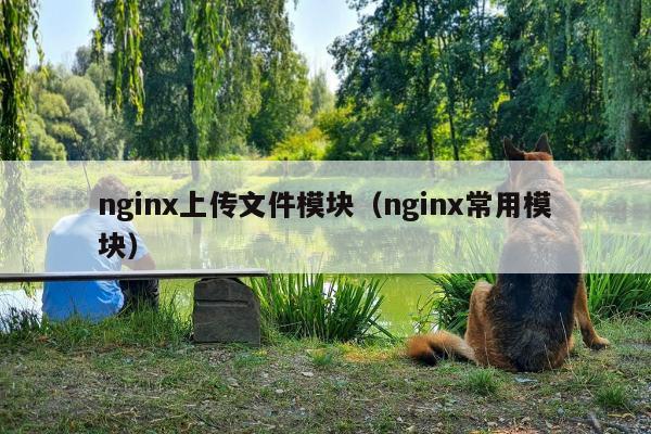 nginx上传文件模块（nginx常用模块）