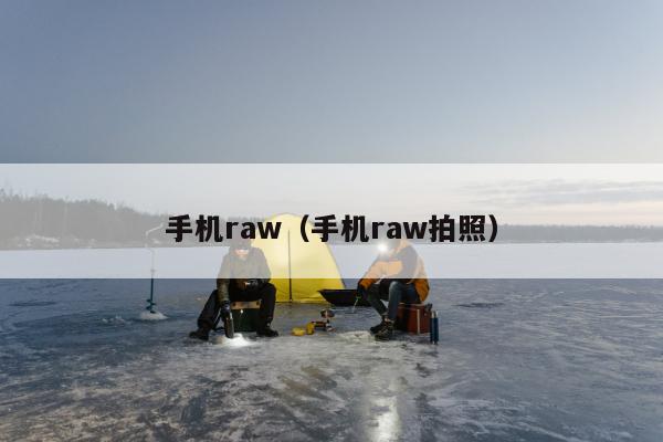 手机raw（手机raw拍照）