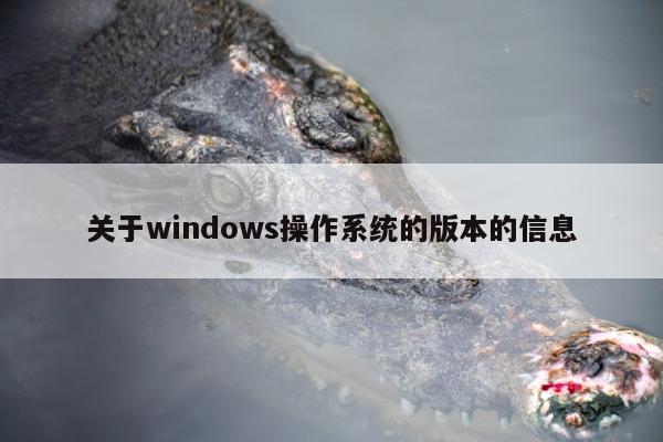 关于windows操作系统的版本的信息