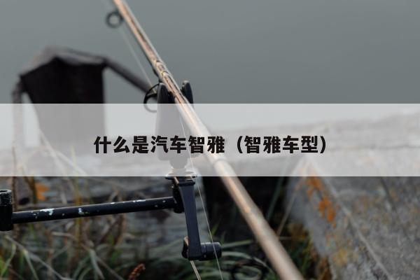 什么是汽车智雅（智雅车型）