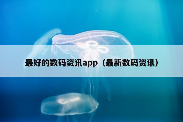 最好的数码资讯app（最新数码资讯）