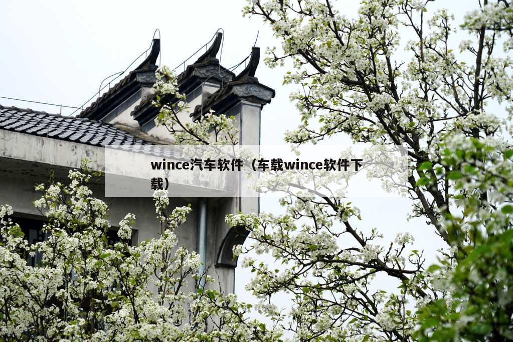 wince汽车软件（车载wince软件下载）