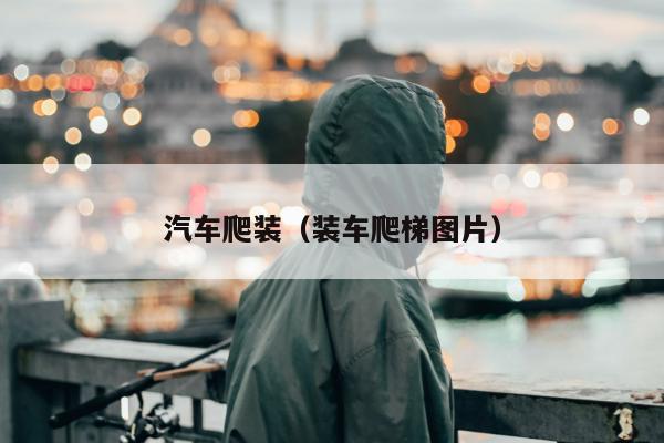 汽车爬装（装车爬梯图片）