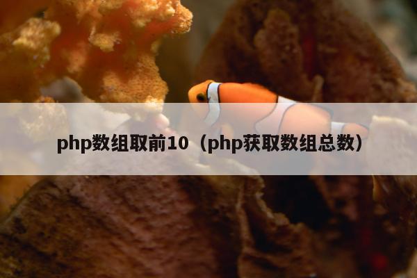 php数组取前10（php获取数组总数）