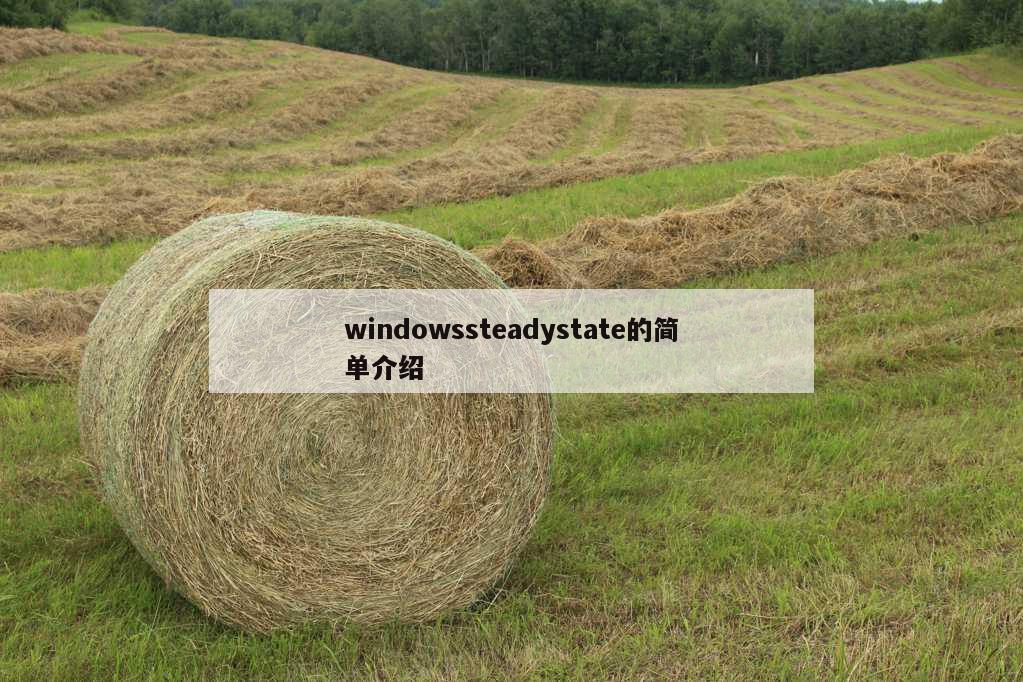 windowssteadystate的简单介绍