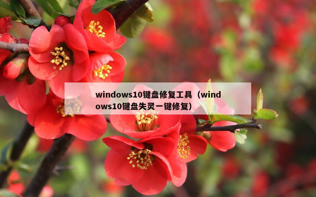 windows10键盘修复工具（windows10键盘失灵一键修复）