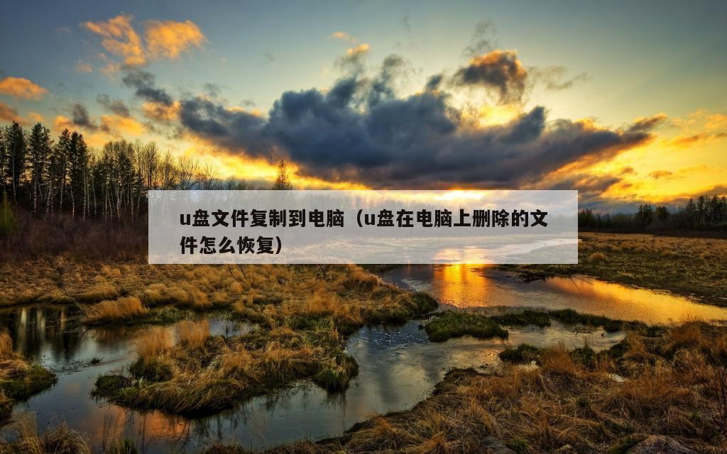 u盘文件复制到电脑（u盘在电脑上删除的文件怎么恢复）