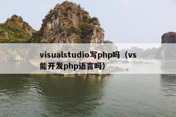 visualstudio写php吗（vs能开发php语言吗）