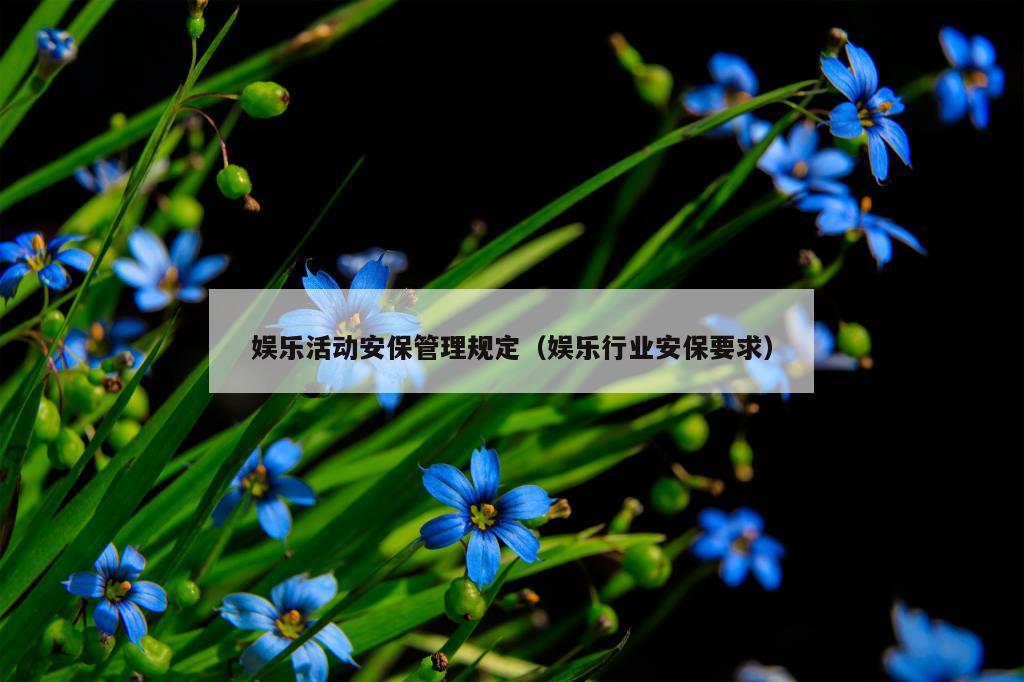 娱乐活动安保管理规定（娱乐行业安保要求）