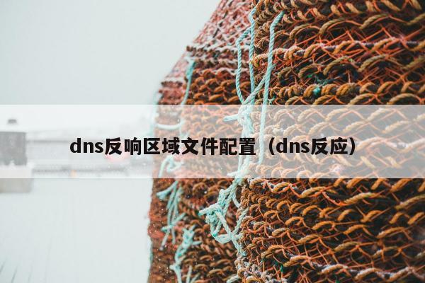 dns反响区域文件配置（dns反应）