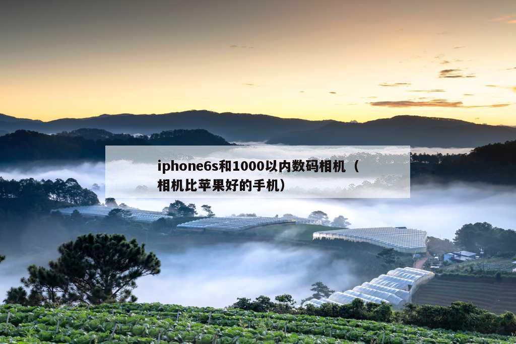 iphone6s和1000以内数码相机（相机比苹果好的手机）