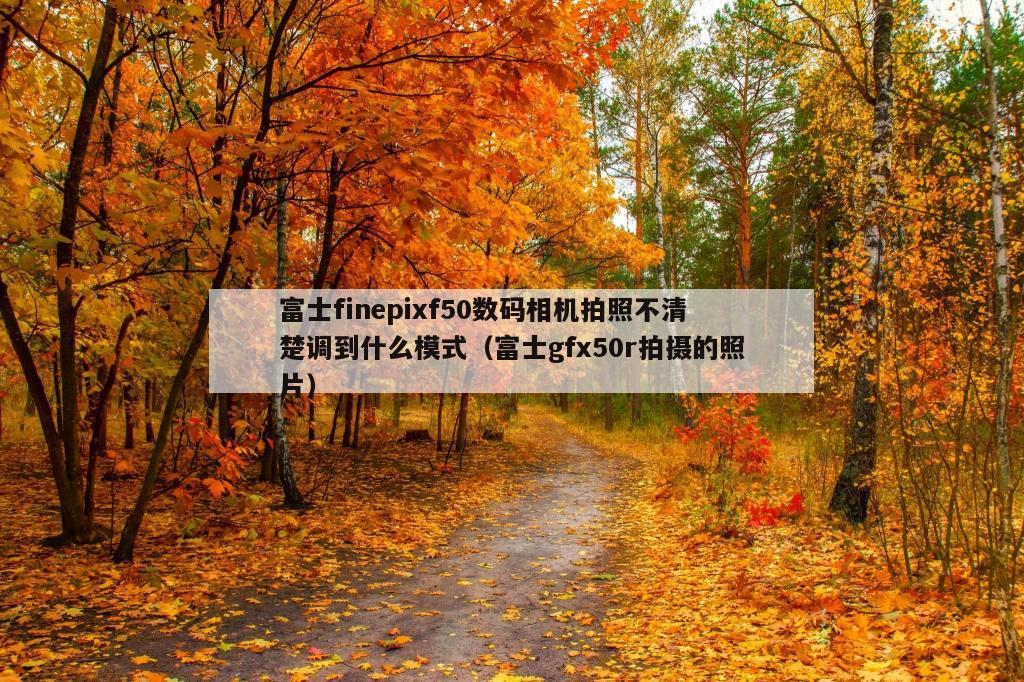 富士finepixf50数码相机拍照不清楚调到什么模式（富士gfx50r拍摄的照片）