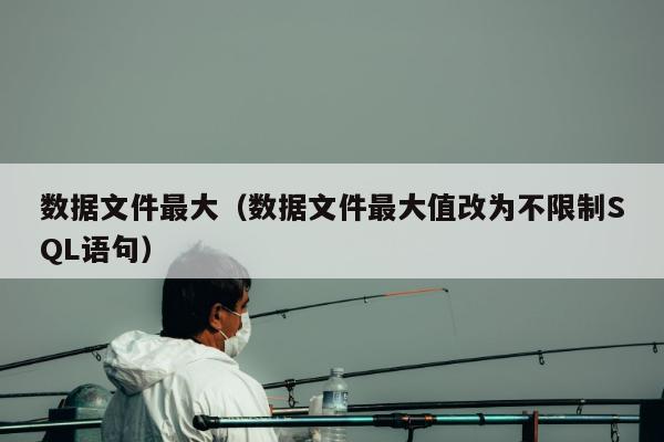 数据文件最大（数据文件最大值改为不限制SQL语句）