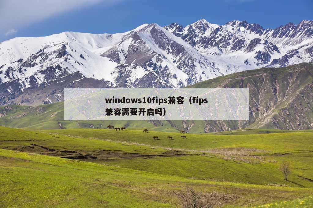 windows10fips兼容（fips兼容需要开启吗）