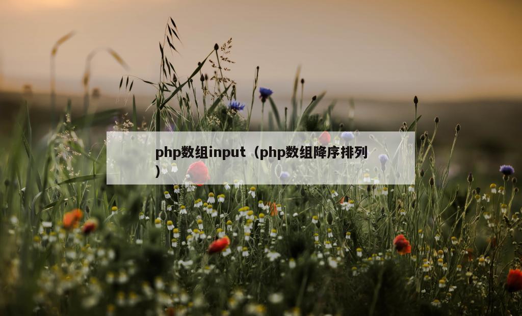 php数组input（php数组降序排列）