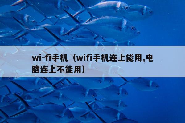 wi-fi手机（wifi手机连上能用,电脑连上不能用）